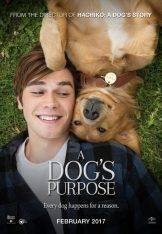 A Dogs Purpose Scopul Unui Caine 2017 Online Subtitrat